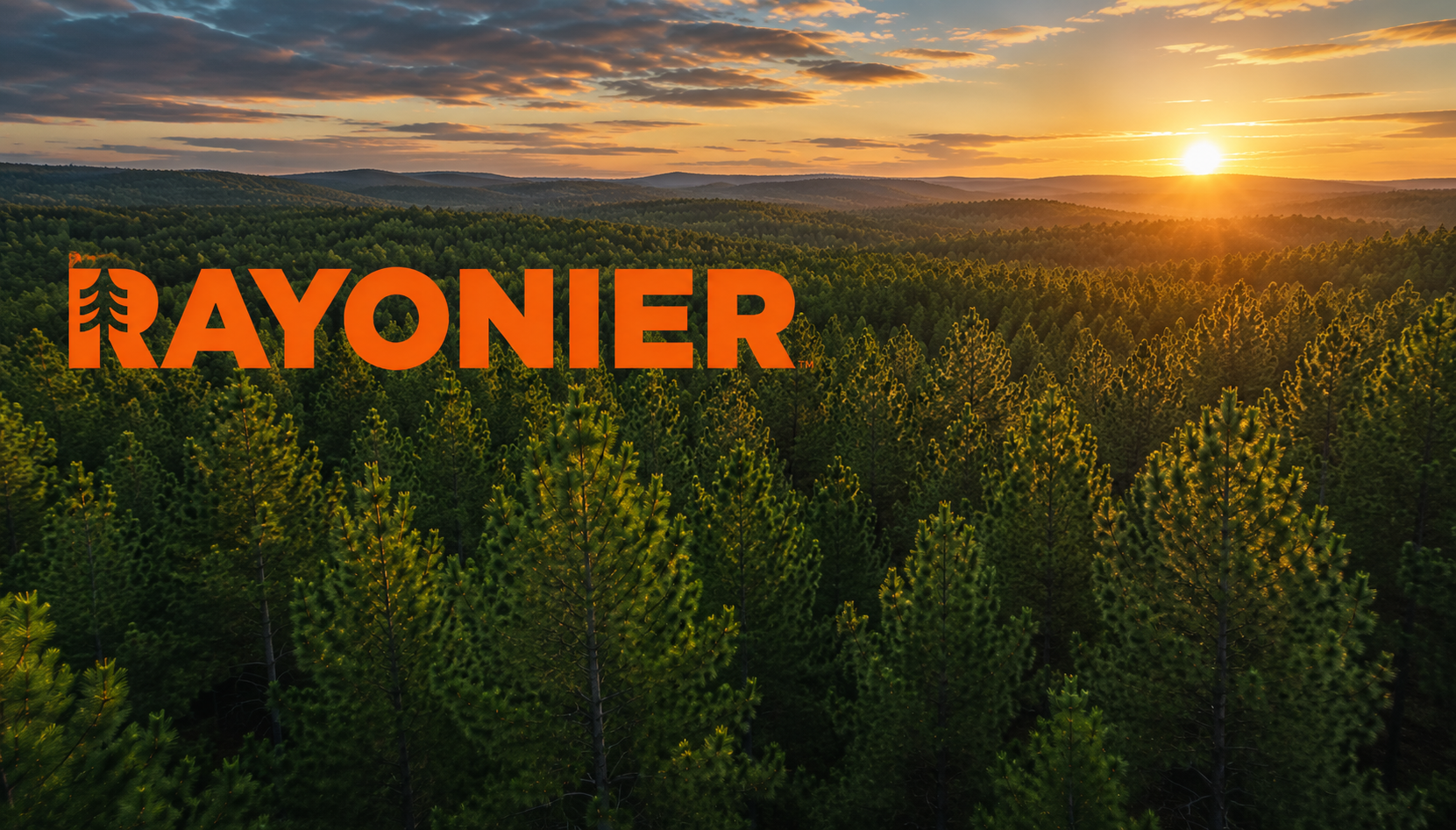 Rayonier: Why a Beaten Down Timber REIT May Be Worth Far More Than Its Stock Price Suggests